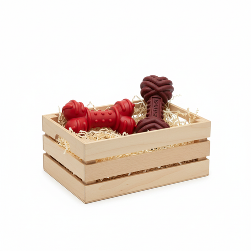 Chew & Durable Bundle